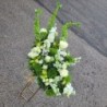Florisis Huedin Cutie alb verde