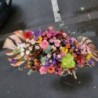Florisis Huedin Cutie imensa de flori colorata