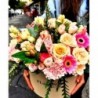 Florisis Huedin Cutie pastel roz
