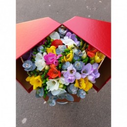 Comanda Florarie Huedin Florisis Cutie cu 21 frezii multicolore