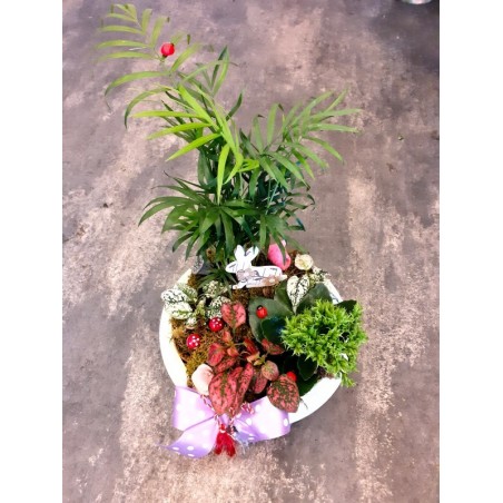 Comanda Florarie Huedin Florisis Aranjament plante in vas ceramic hope