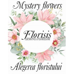 Alegerea floristului - Cutie cu flori - Prestige