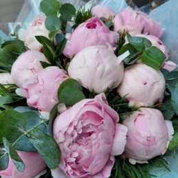 Florisis Huedin Buchet 15 bujori roz pastel import